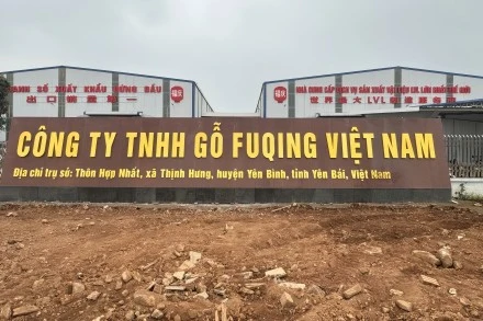 Fuqing history in 2022