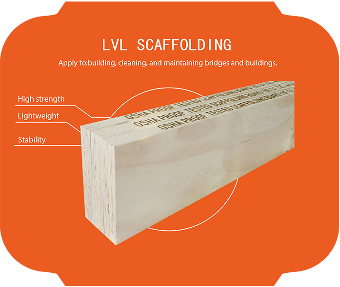 LVL SCAFFOLDING