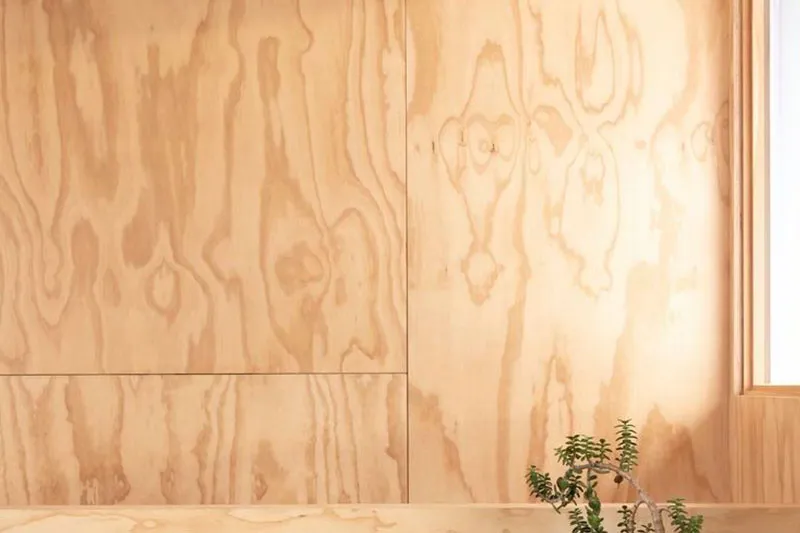 plywood for shear wall