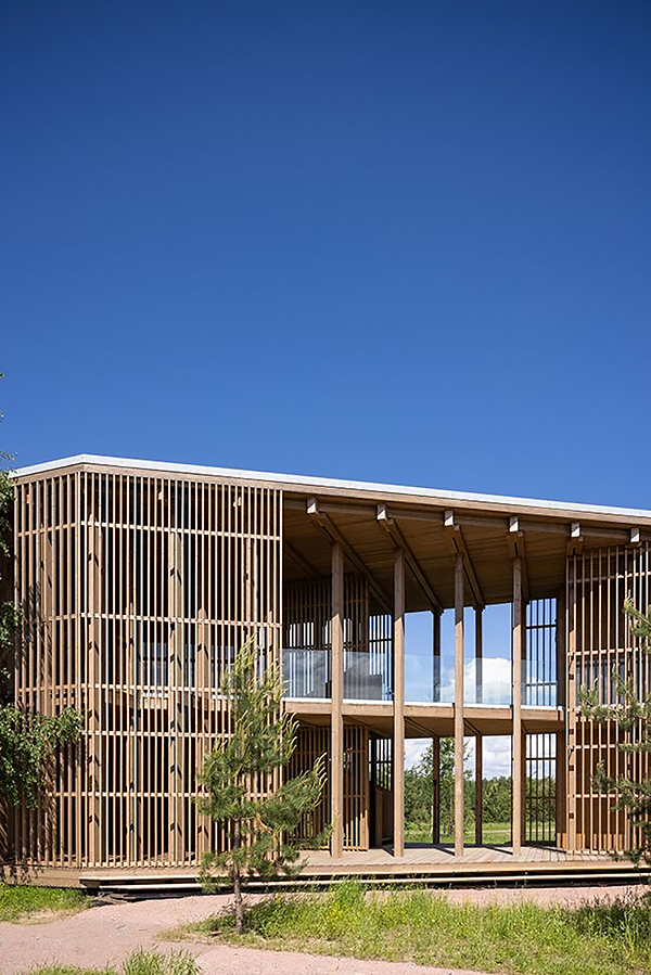 can-lvl-be-used-outdoors-understanding-lvl-for-outdoor-use.jpg